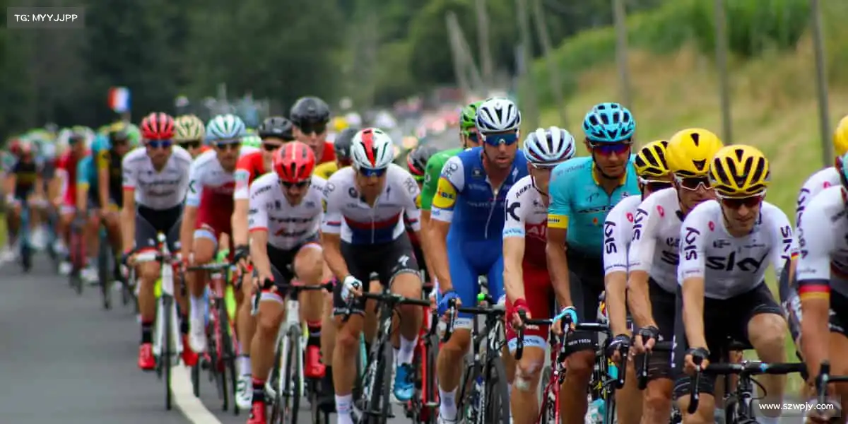 为什么选择我们